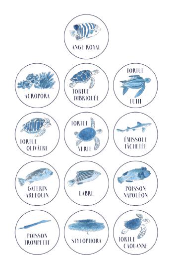 THEMES TABLES